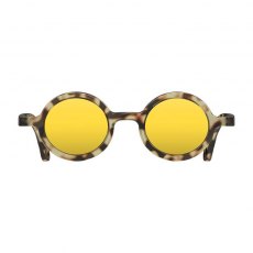 Moley Sunglasses Gloss Grey Tortoise Shell/Yellow