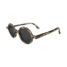 Moley Sunglasses Gloss Grey Tortoise Shell/Black
