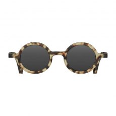 Moley Sunglasses Gloss Grey Tortoise Shell/Black