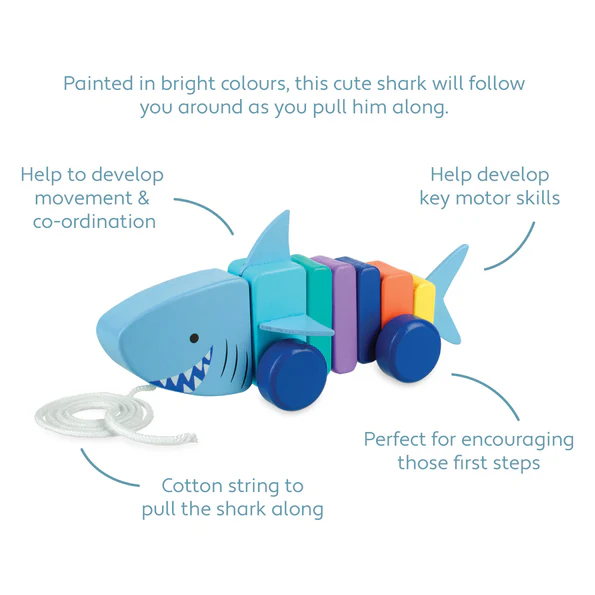 Orange Tree Toys Shark Pull Along