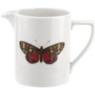 Botanic Garden Harmony Cream Jug