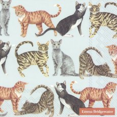Emma Bridgewater Napkins - Cats