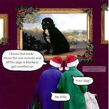 The Dog I Know That Look Funny Christmas Greeting Card