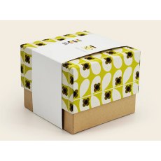 Orla Kiely Storage Jar Wild Rose Stem Dandelion