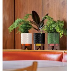 Orla Kiely Ceramic Plant Pot