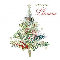 Nadolig Llawen/Happy Christmas Cards Pk/5