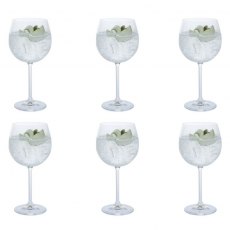 Dartington Crystal Gin Copa Party Set of 6