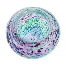 Caithness Glass Bowl - Springtime Flower