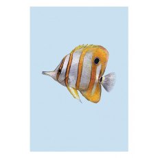 Ben Rothery Copperband Butterflyfish Greeting Card