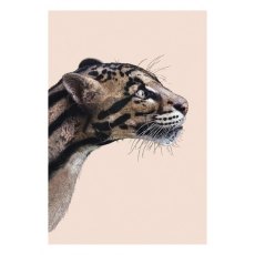 Ben Rothery Clouded Leopard Greeting Card