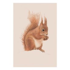 Ben Rothery Red Squirrel Greeting Card