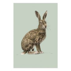 Ben Rothery Hare Greeting Card