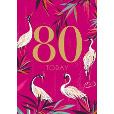 Sara Miller 80 Today Birthday Greeting Card