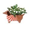 Joules Dachshund Plant Pot