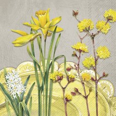 Napkins Nancy Grey