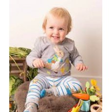 Peter Rabbit Veg Top