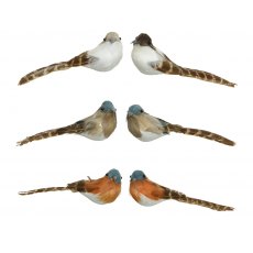 Bird Foam Frosted Head Feather - 2 pack