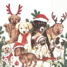 IHR Napkins Dog-Mas