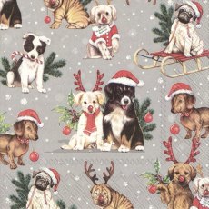 IHR Napkins Dogs Celebration Grey