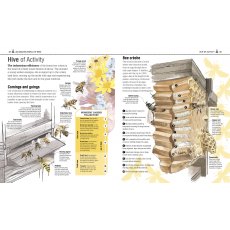 The Bee Book