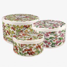 Emma Bridgewater Birds In Hedgerow Set of 3 Round Cake Tins