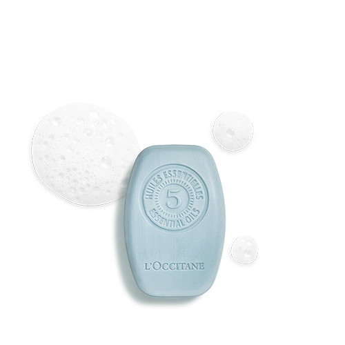 L'Occitane Purifying & Freshness Solid Shampoo 60g