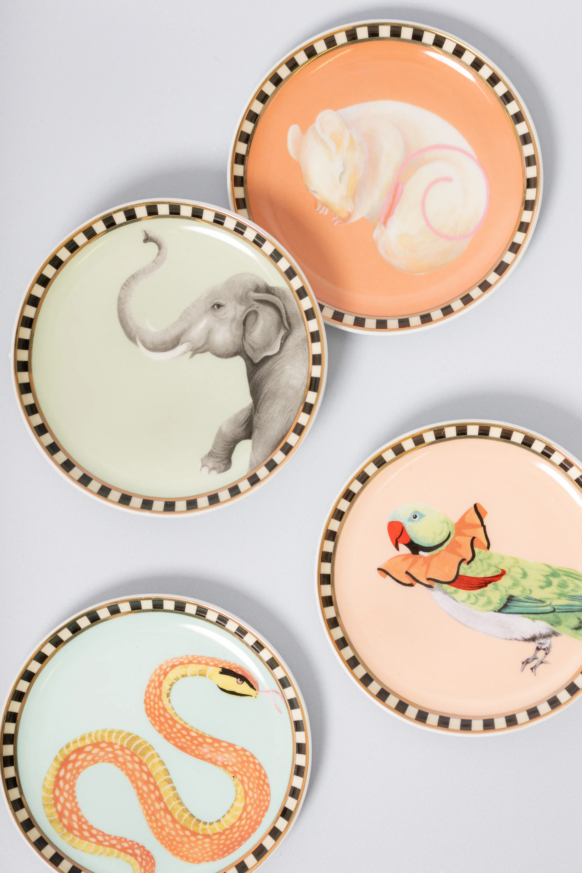 Yvonne Ellen Animal Coasters Set of 4