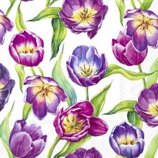 IHR Napkins Tulip Meadow White