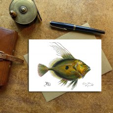 Wildlife by Mouse John Dory Card