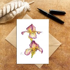 Wildlife by Mouse Pink & Yellow Bearded Iris Card