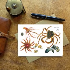 Wildlife by Mouse Rockpool Crabs & Starfish Card