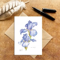 Wildlife by Mouse Tall Bearded Iris Jane Philips Card