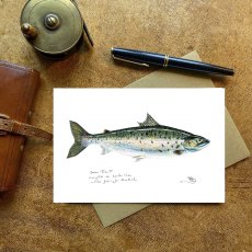 Wildlife by Mouse Sea Trout Card