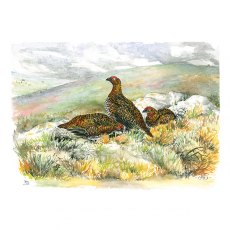 Wildlife by Mouse Three Red Grouse On The Moor Card