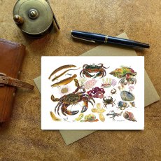 Wildlife by Mouse Velvet Crab & Other Rockpool Creatures Card