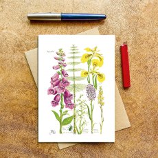 Wildlife by Mouse Wild Flowers From The Scottish West Coast Card