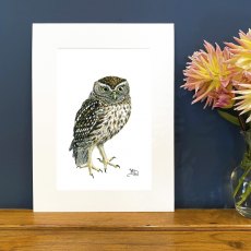 Wildlife by Mouse Little Owl Print