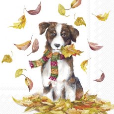 IHR Napkins Dog Having Fun