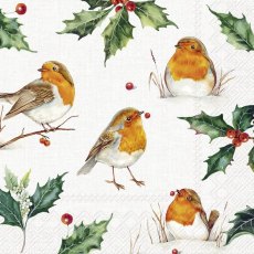 IHR Napkins Lexi & Robin Cream IHR Napkins Lexi & Robin Cream