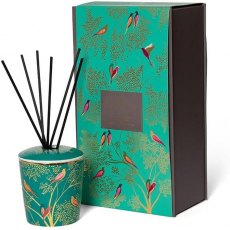 Sara Miller Ceramic Reed Diffuser Mandarin,Tuberose,Musk