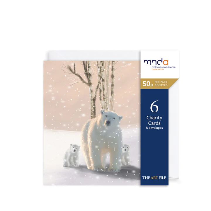 Polar Bear Christmas Charity Cards - 6 Pack