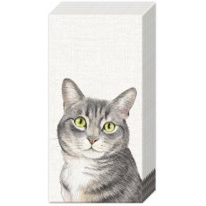 IHR Tissues Farm Cat Cream