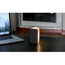 Gingko Mini Smart Book Light Black Leather