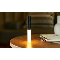 Gingko Smart Baton Light Black