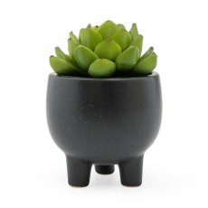 Artificial Echiveria Succulent In Ceramic Pot