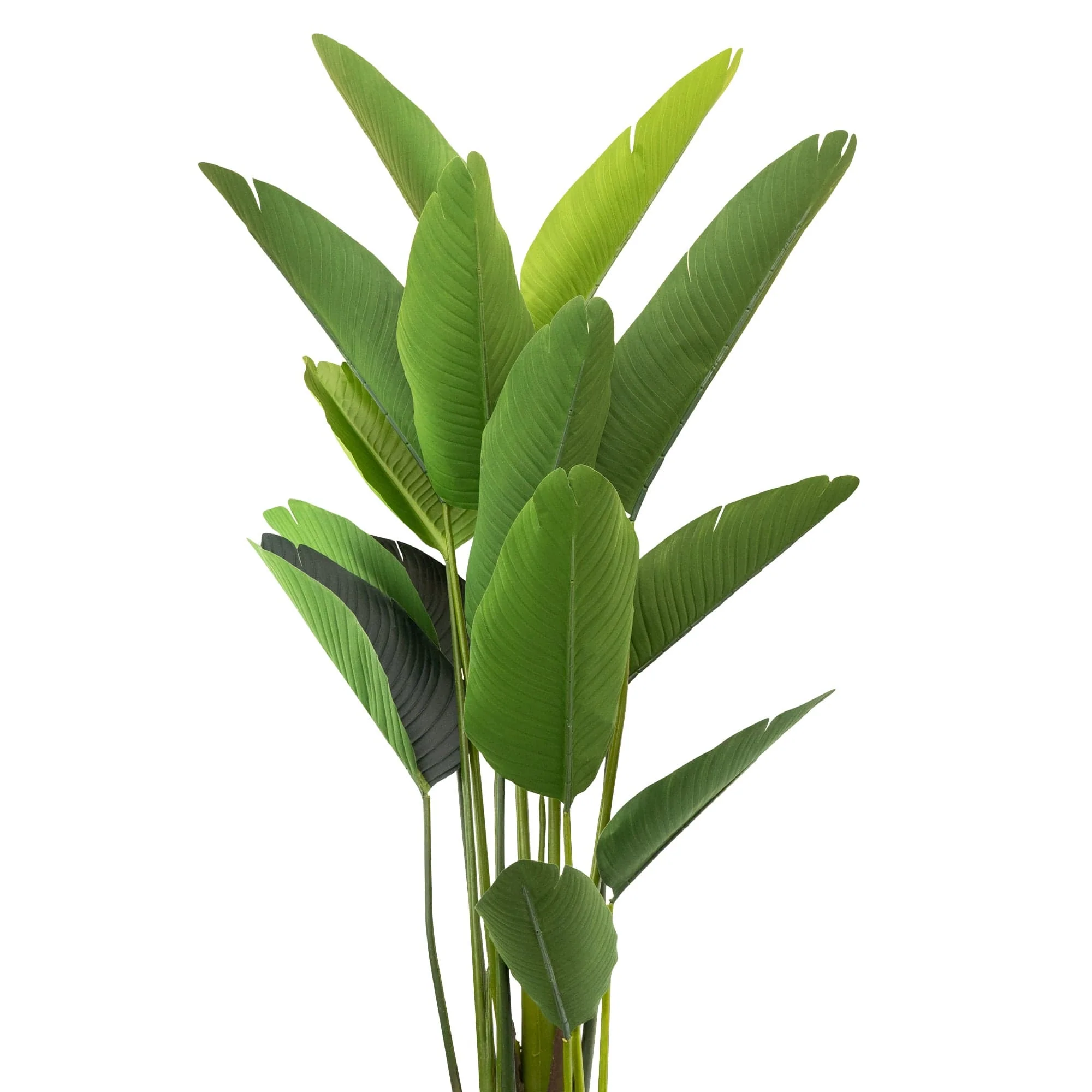 Artificial Streliztia Plant 180cm