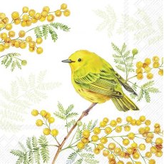 IHR Napkins Joy Of Spring Light Green