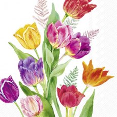 IHR Napkins Bright Tulips