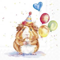 IHR Napkins Birthday Kalli