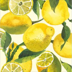 Emma Bridgewater Lemons Greeting Card